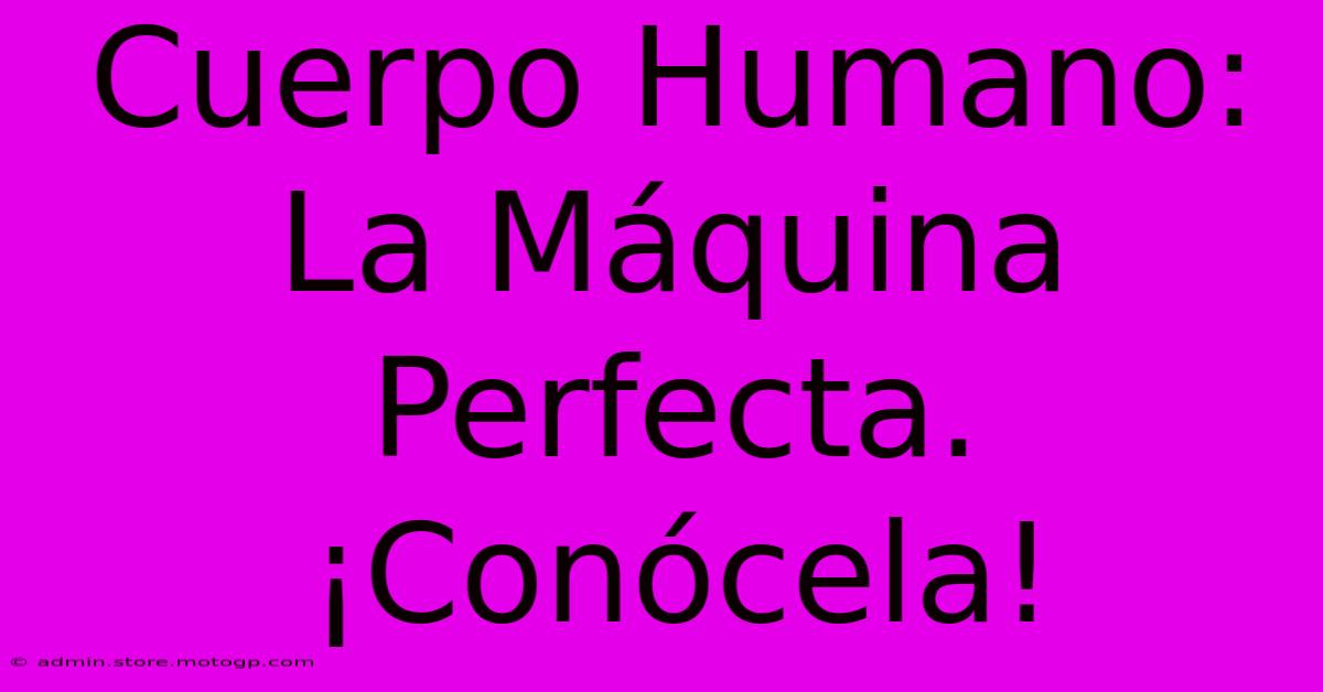 Cuerpo Humano: La Máquina Perfecta. ¡Conócela!