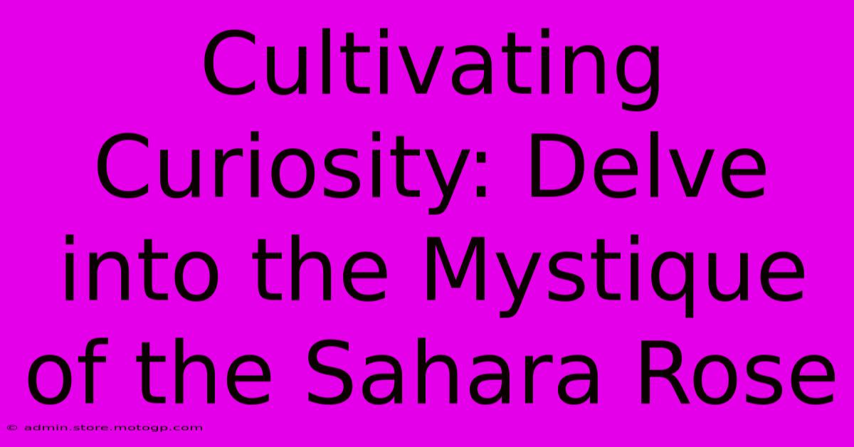 Cultivating Curiosity: Delve Into The Mystique Of The Sahara Rose