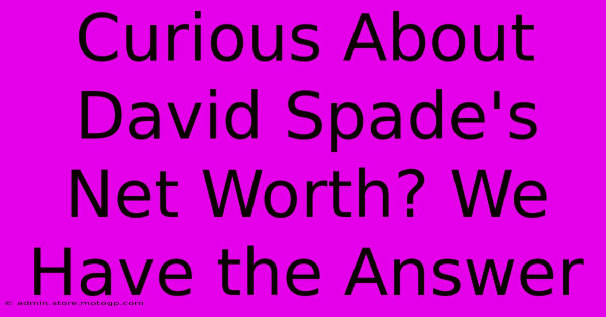 Curious About David Spade's Net Worth? We Have The Answer