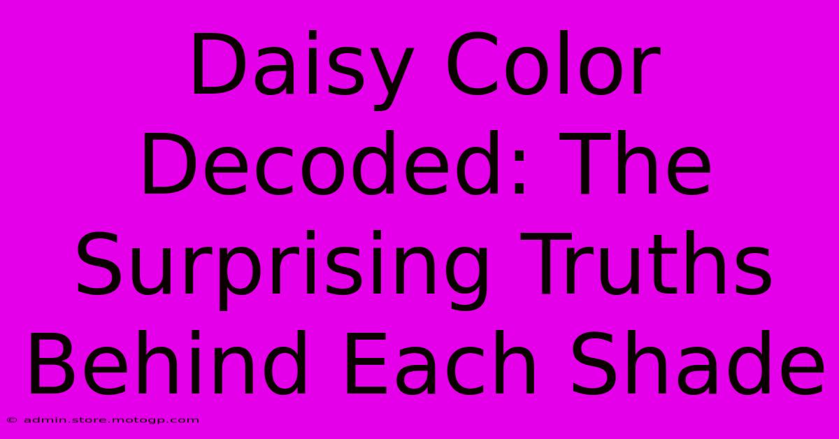 Daisy Color Decoded: The Surprising Truths Behind Each Shade