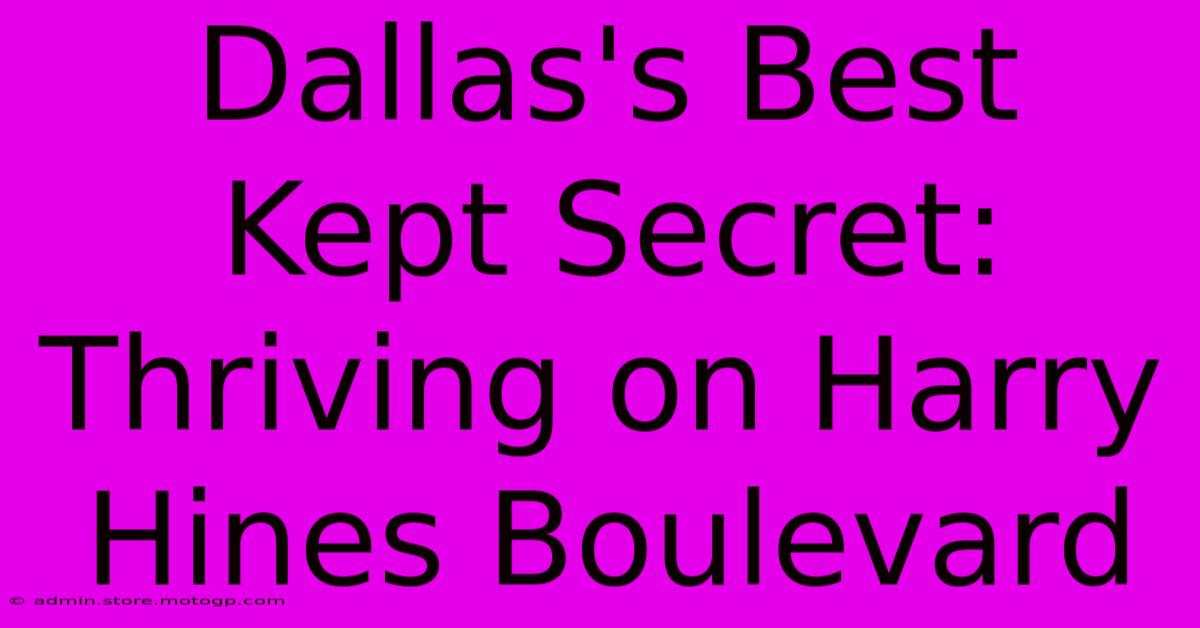 Dallas's Best Kept Secret: Thriving On Harry Hines Boulevard