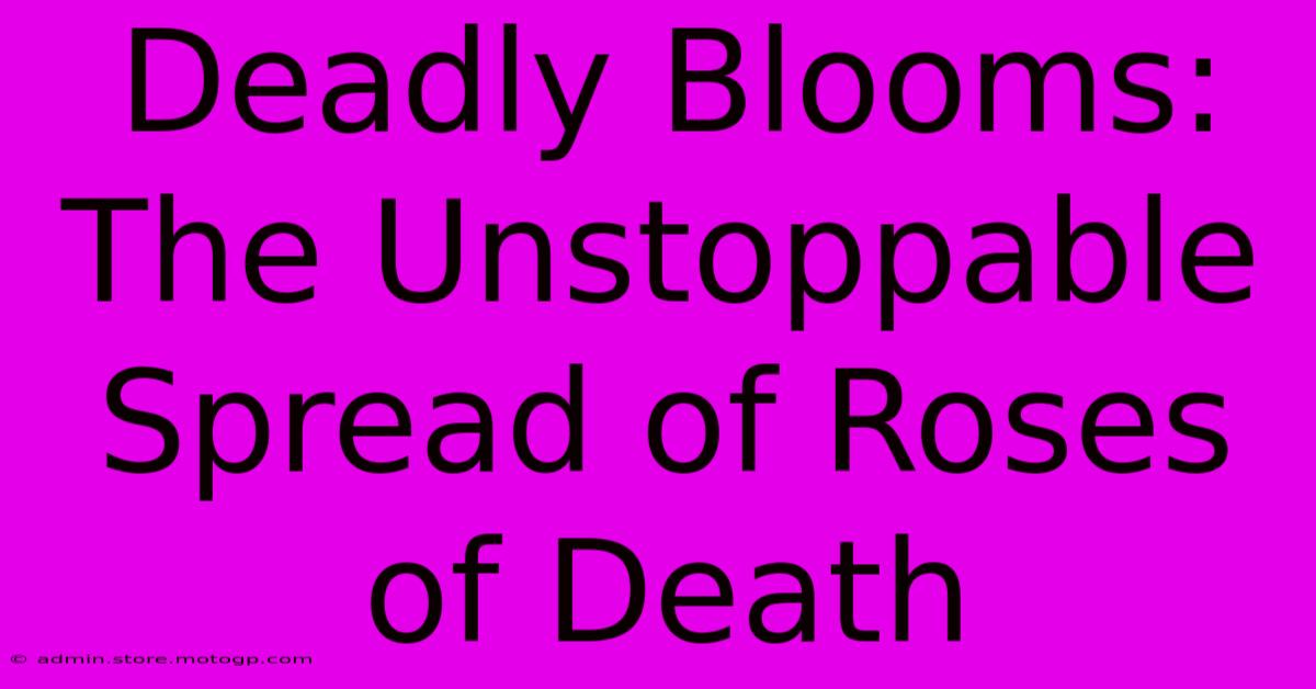 Deadly Blooms: The Unstoppable Spread Of Roses Of Death