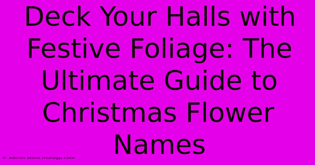 Deck Your Halls With Festive Foliage: The Ultimate Guide To Christmas Flower Names