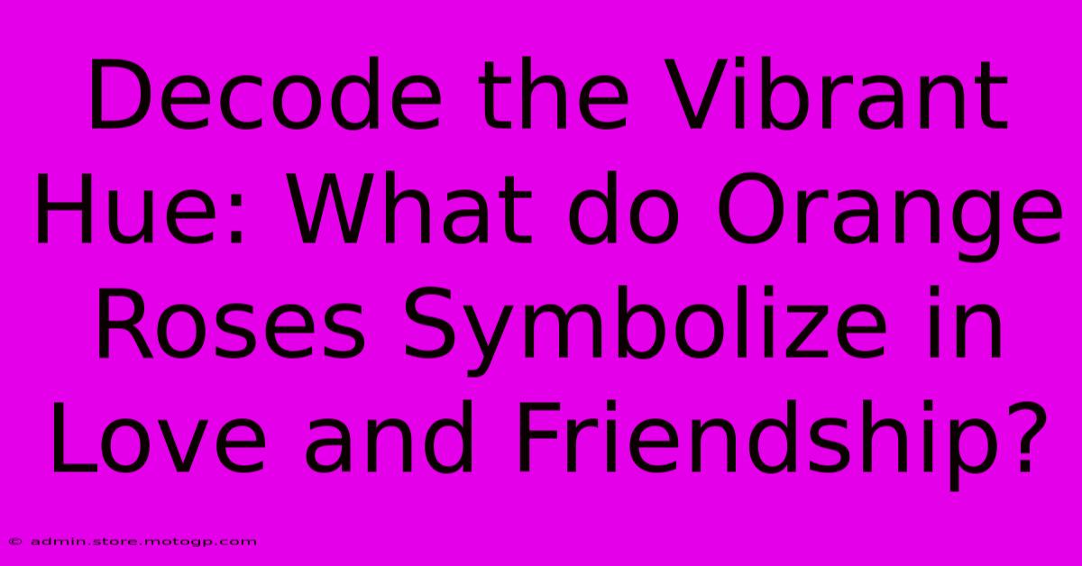 Decode The Vibrant Hue: What Do Orange Roses Symbolize In Love And Friendship?