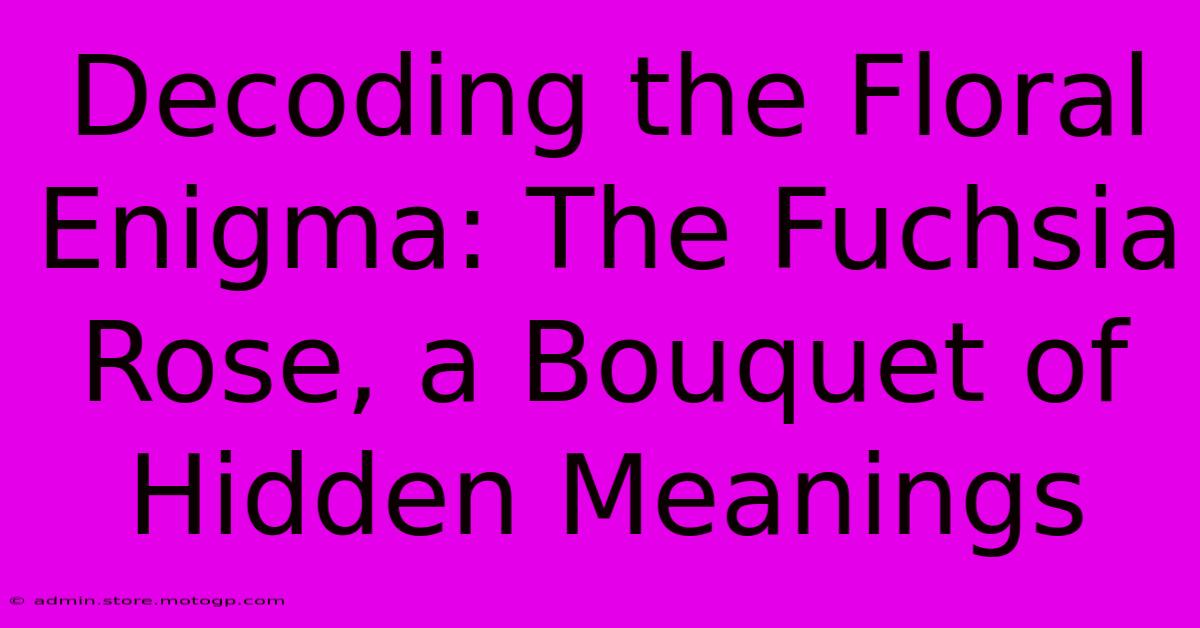 Decoding The Floral Enigma: The Fuchsia Rose, A Bouquet Of Hidden Meanings