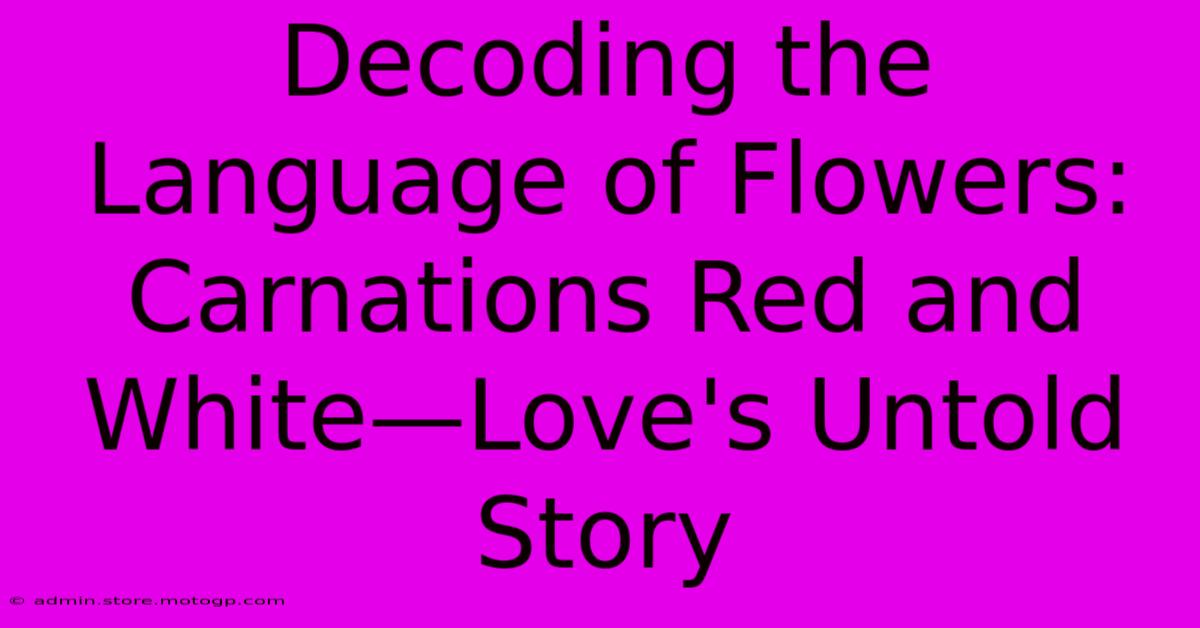 Decoding The Language Of Flowers: Carnations Red And White—Love's Untold Story