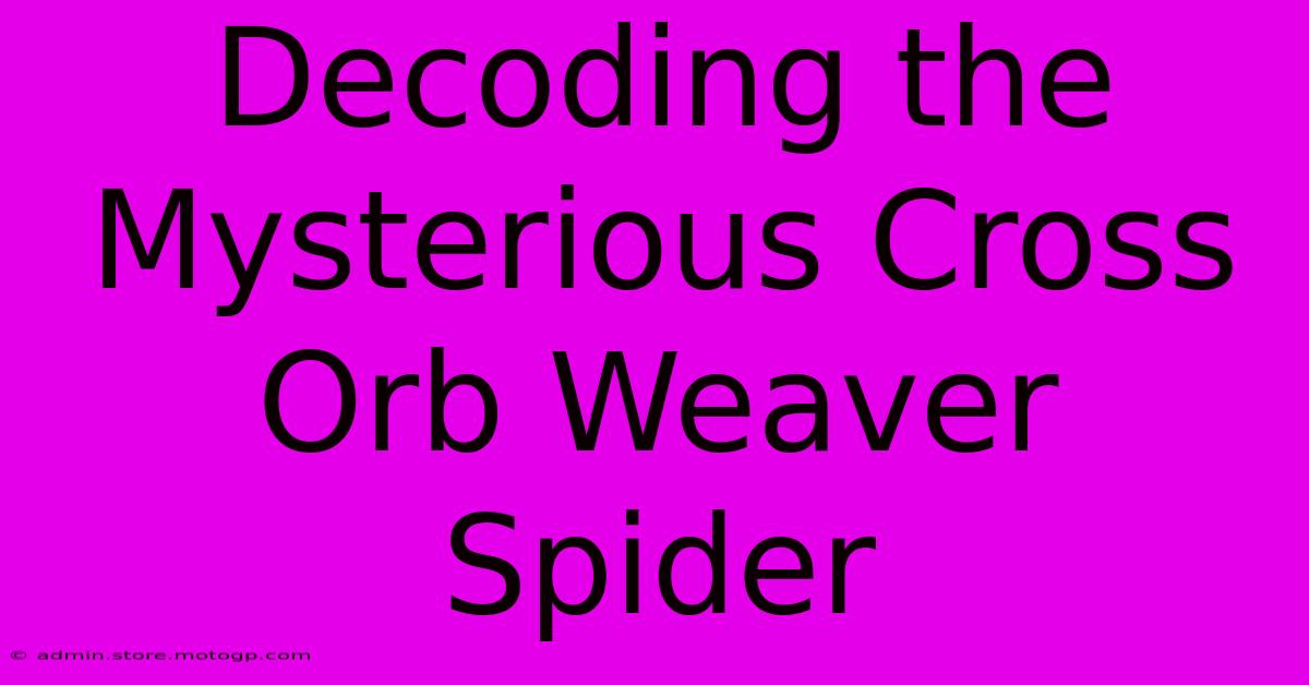 Decoding The Mysterious Cross Orb Weaver Spider