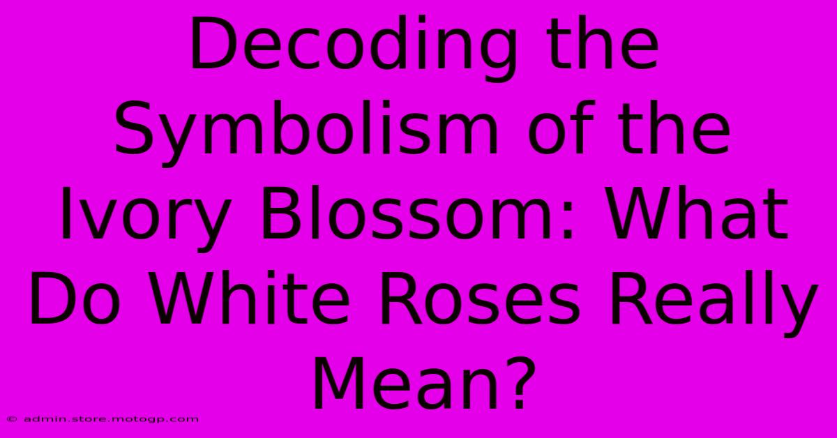 Decoding The Symbolism Of The Ivory Blossom: What Do White Roses Really Mean?