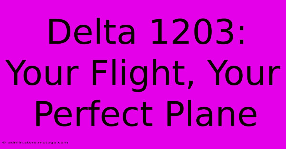 Delta 1203: Your Flight, Your Perfect Plane