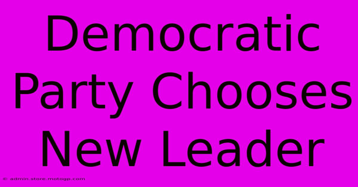 Democratic Party Chooses New Leader