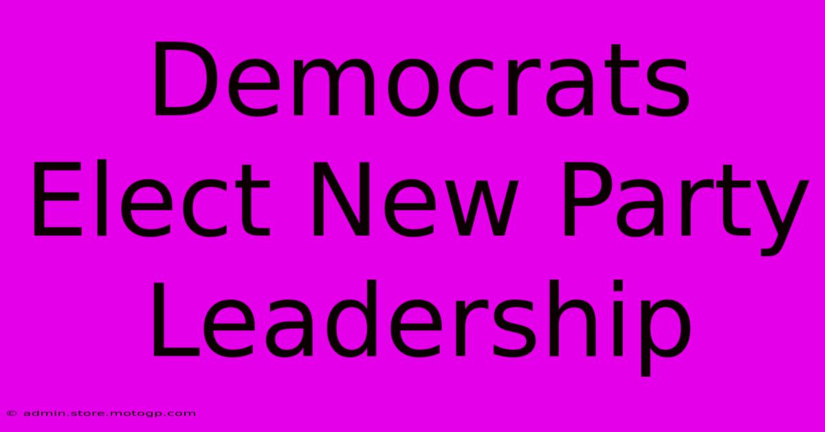 Democrats Elect New Party Leadership