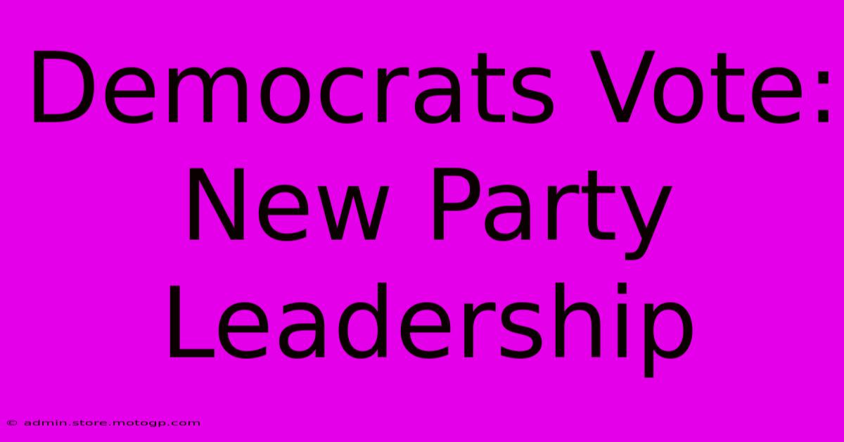 Democrats Vote: New Party Leadership