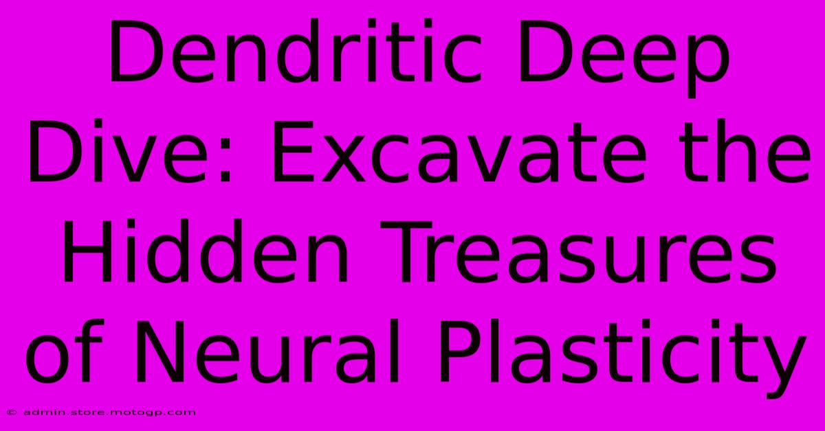 Dendritic Deep Dive: Excavate The Hidden Treasures Of Neural Plasticity