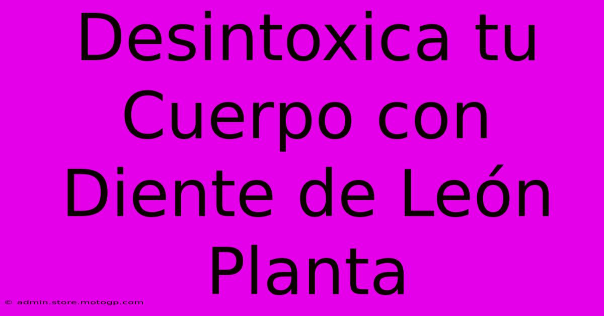 Desintoxica Tu Cuerpo Con Diente De León Planta