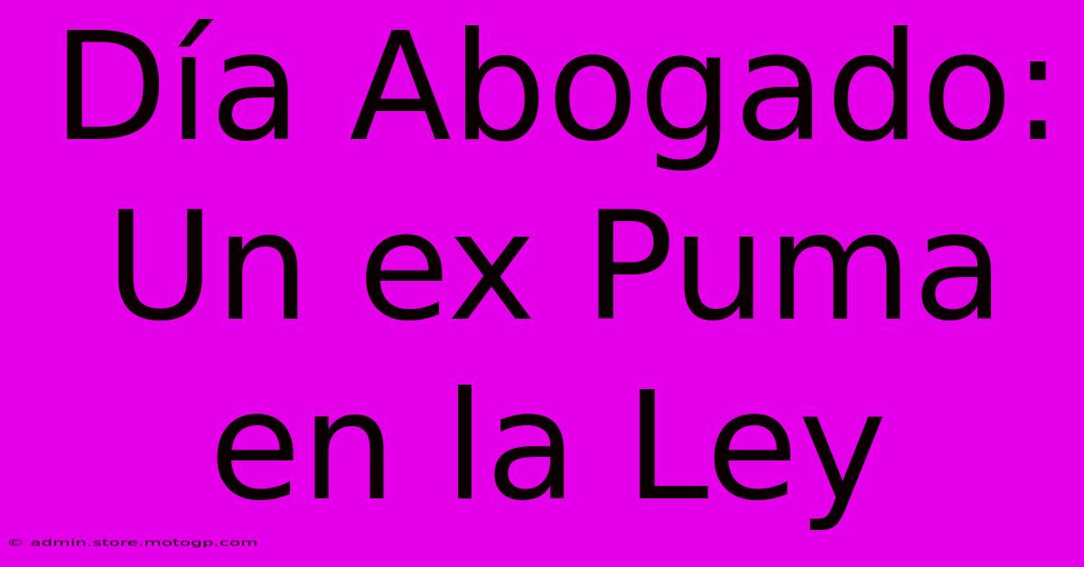 Día Abogado: Un Ex Puma En La Ley