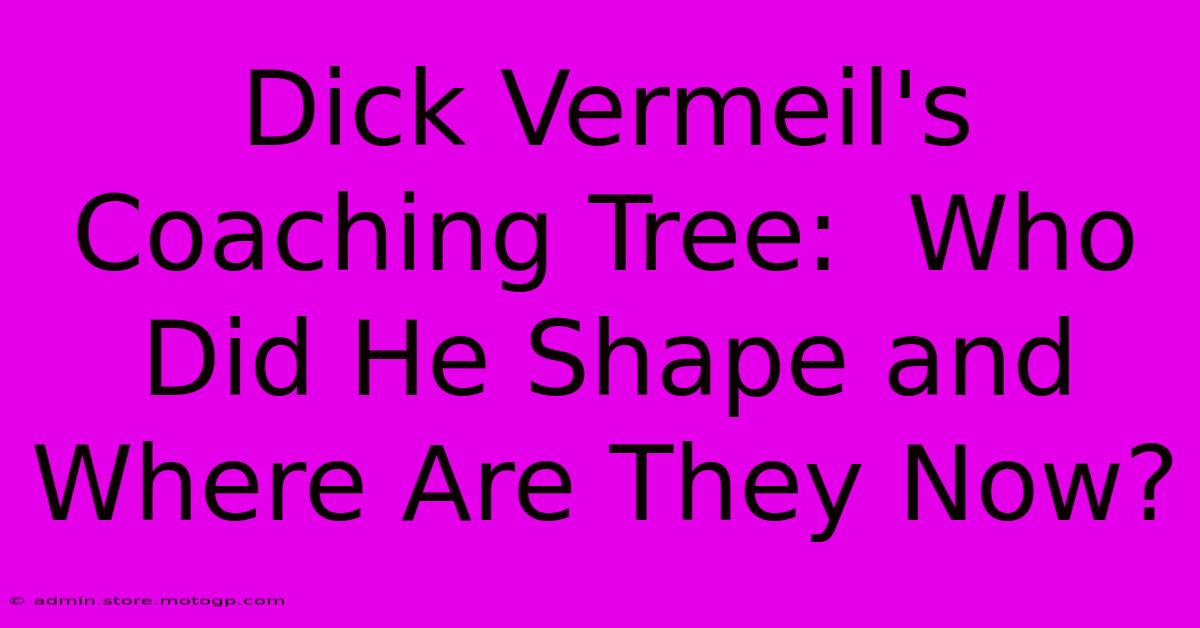 Dick Vermeil's Coaching Tree:  Who Did He Shape And Where Are They Now?