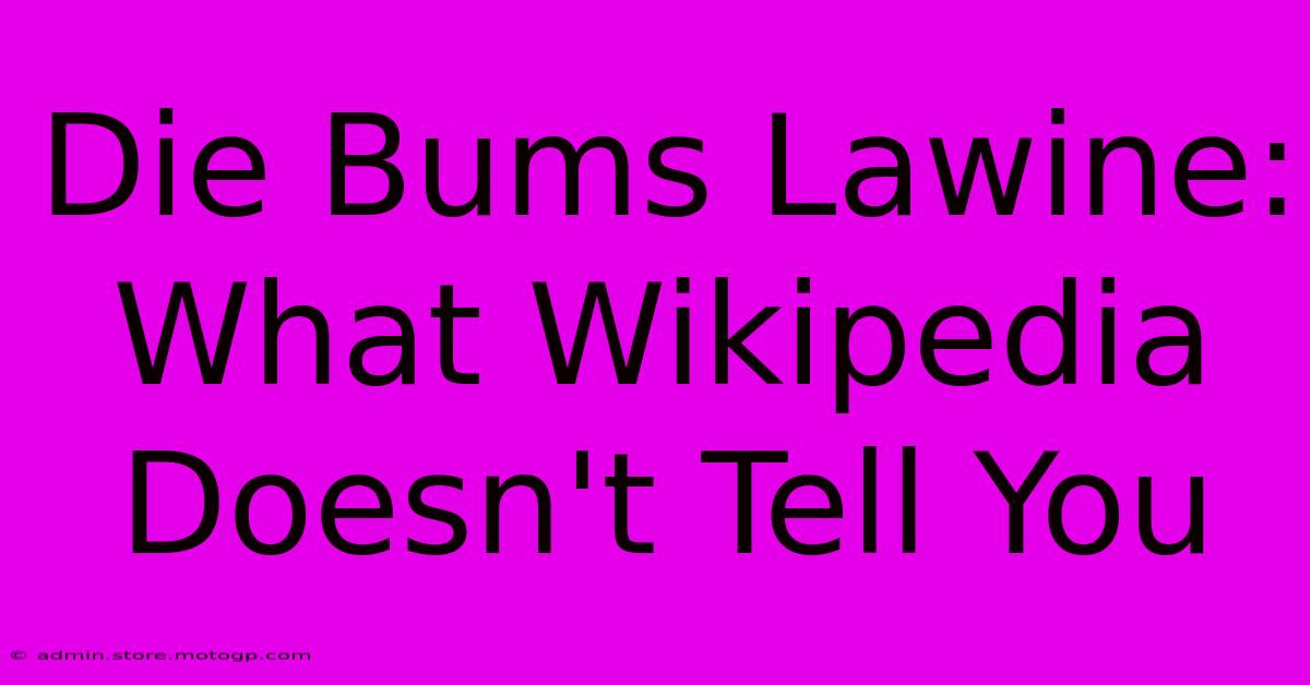 Die Bums Lawine: What Wikipedia Doesn't Tell You