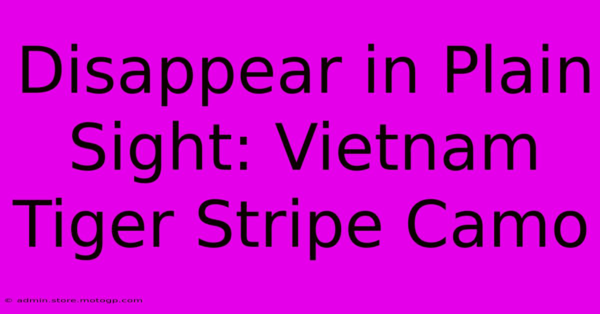 Disappear In Plain Sight: Vietnam Tiger Stripe Camo