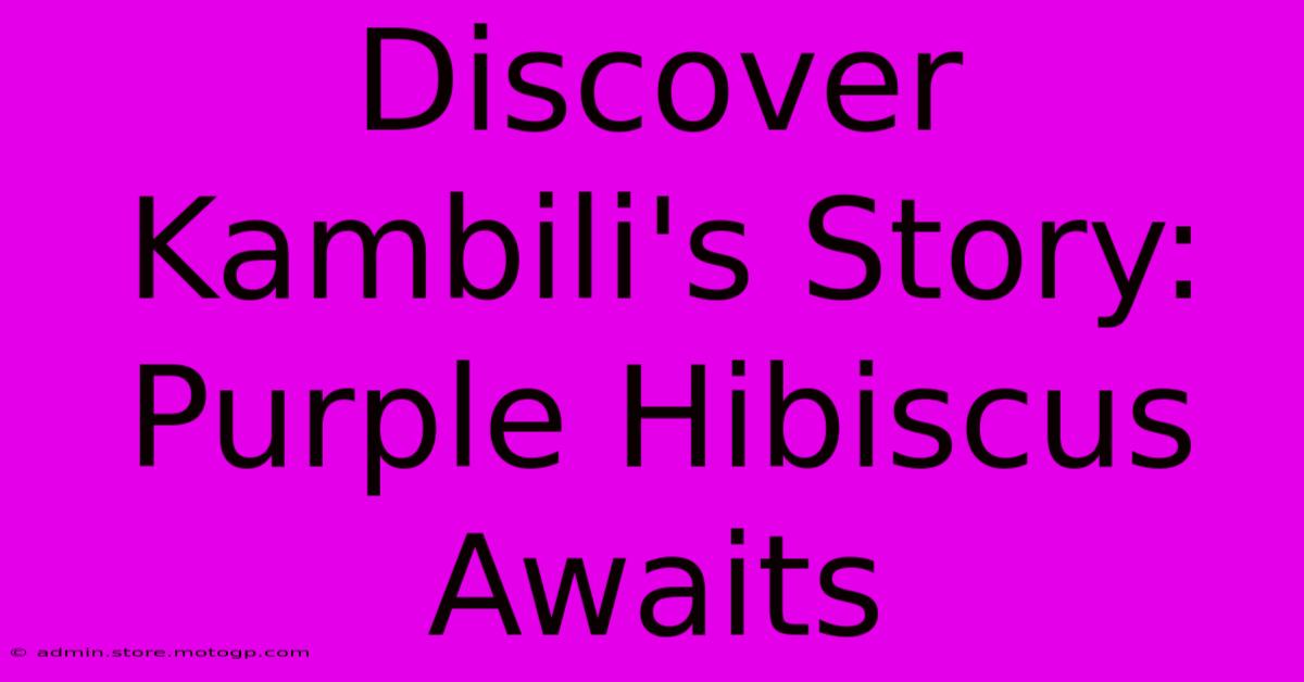 Discover Kambili's Story: Purple Hibiscus Awaits