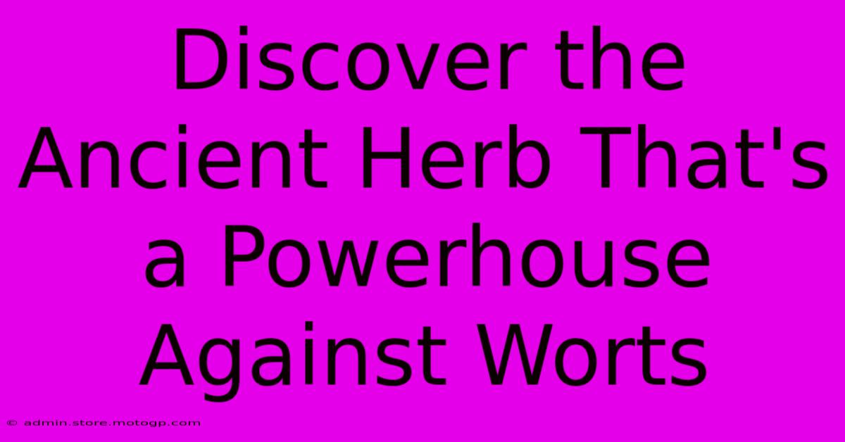 Discover The Ancient Herb That's A Powerhouse Against Worts