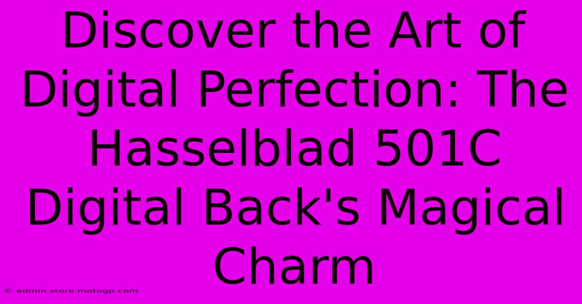 Discover The Art Of Digital Perfection: The Hasselblad 501C Digital Back's Magical Charm