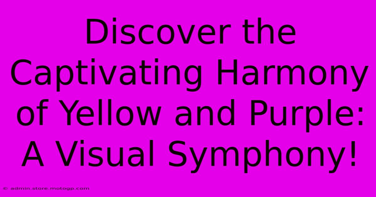 Discover The Captivating Harmony Of Yellow And Purple: A Visual Symphony!