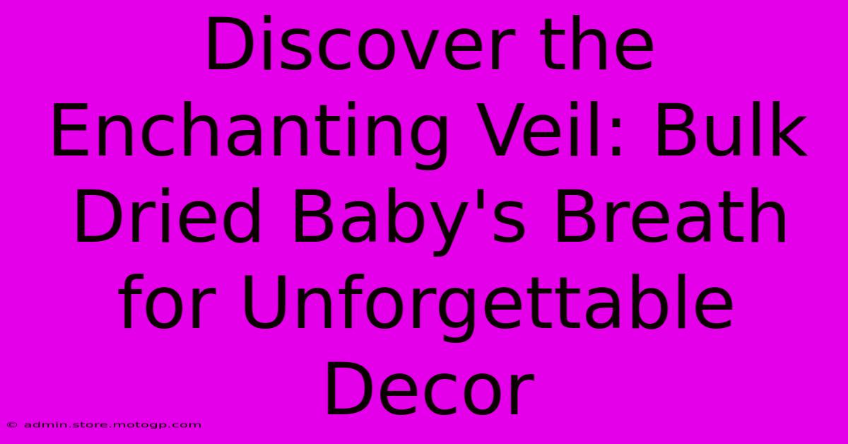 Discover The Enchanting Veil: Bulk Dried Baby's Breath For Unforgettable Decor