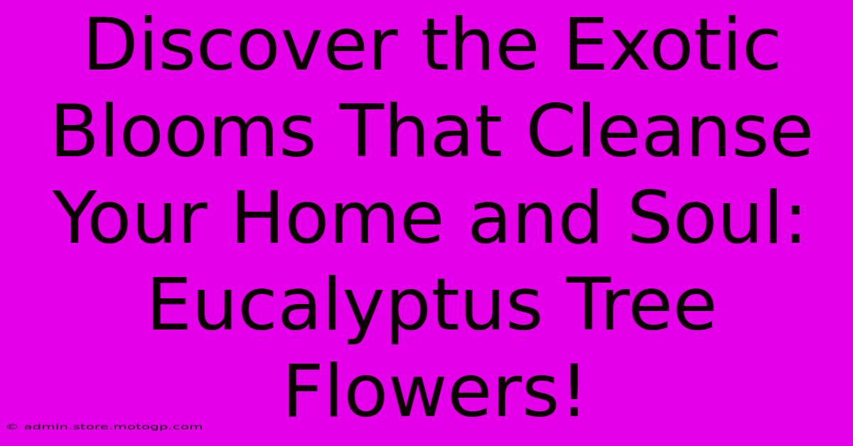 Discover The Exotic Blooms That Cleanse Your Home And Soul: Eucalyptus Tree Flowers!