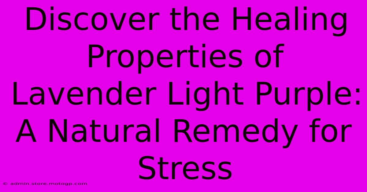 Discover The Healing Properties Of Lavender Light Purple: A Natural Remedy For Stress