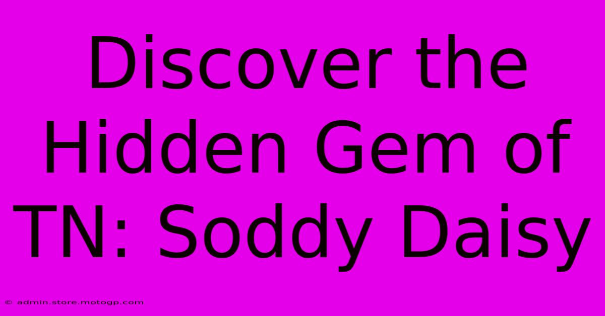 Discover The Hidden Gem Of TN: Soddy Daisy