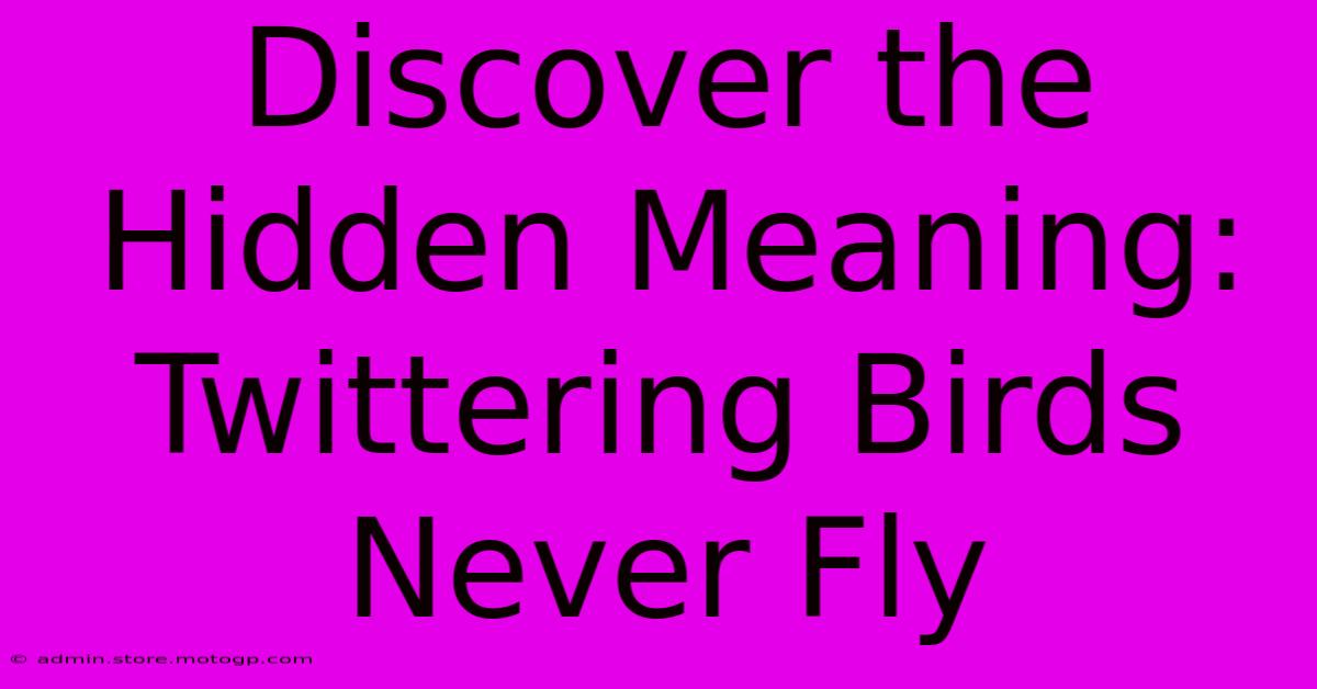 Discover The Hidden Meaning: Twittering Birds Never Fly