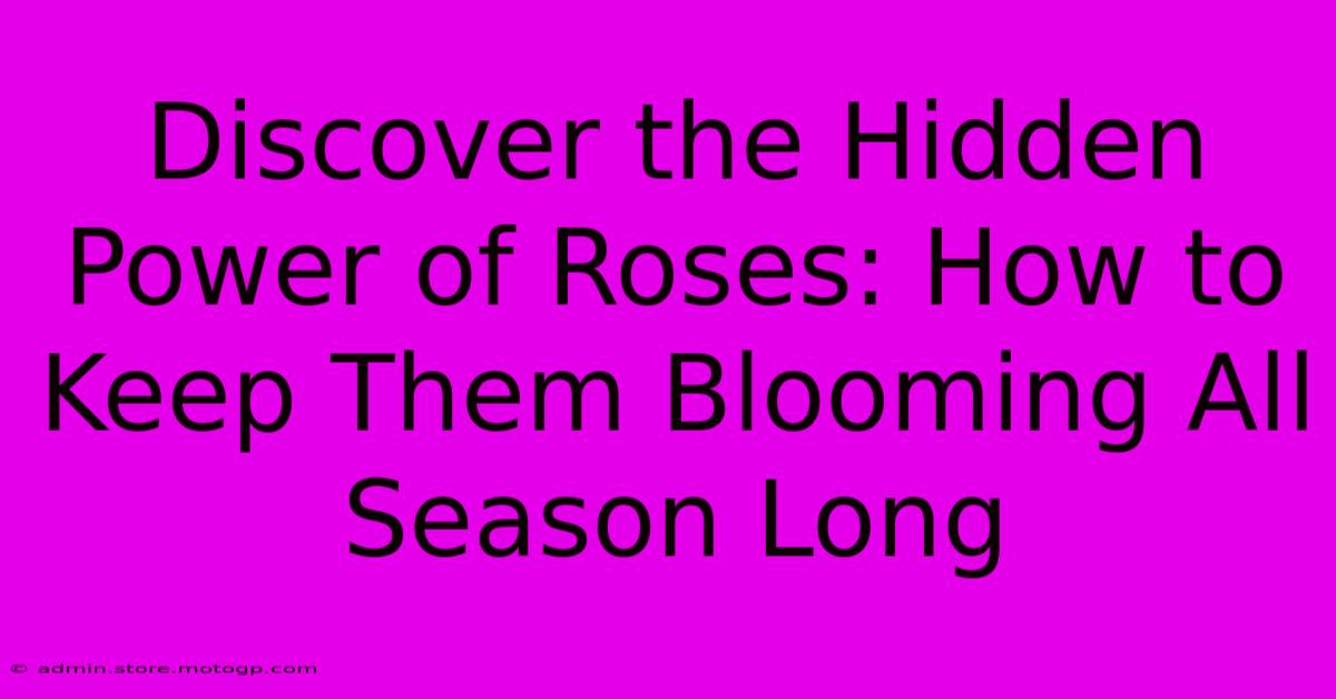 Discover The Hidden Power Of Roses: How To Keep Them Blooming All Season Long