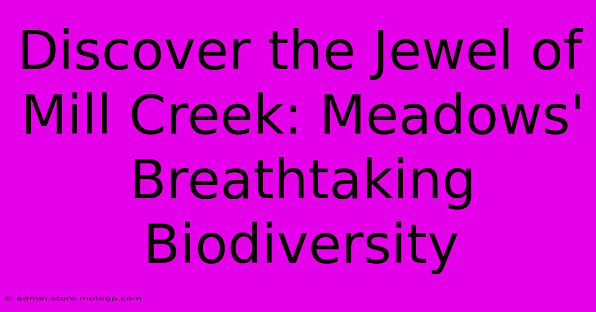 Discover The Jewel Of Mill Creek: Meadows' Breathtaking Biodiversity