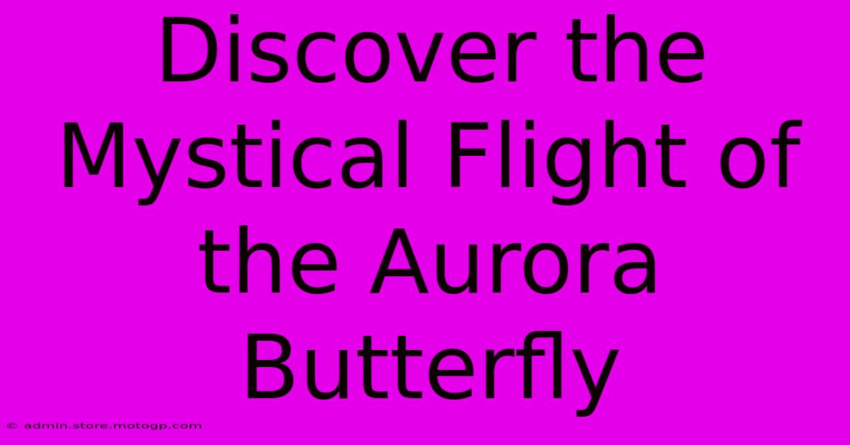 Discover The Mystical Flight Of The Aurora Butterfly