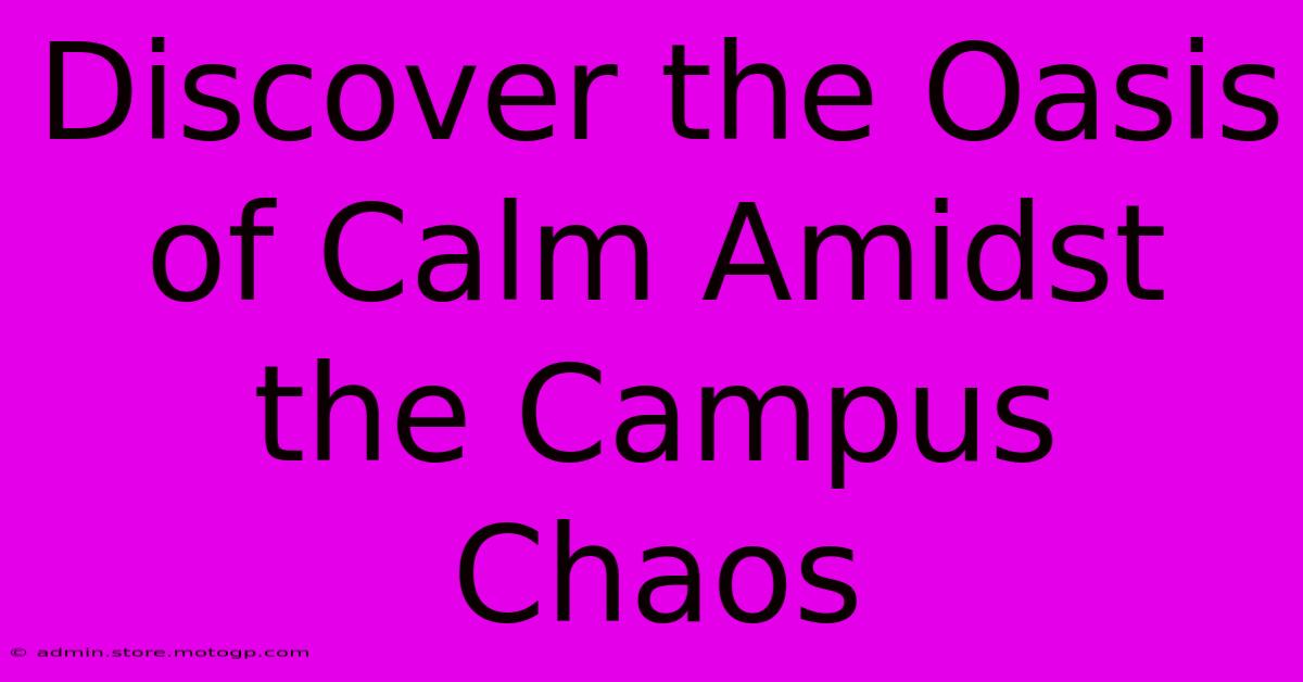 Discover The Oasis Of Calm Amidst The Campus Chaos