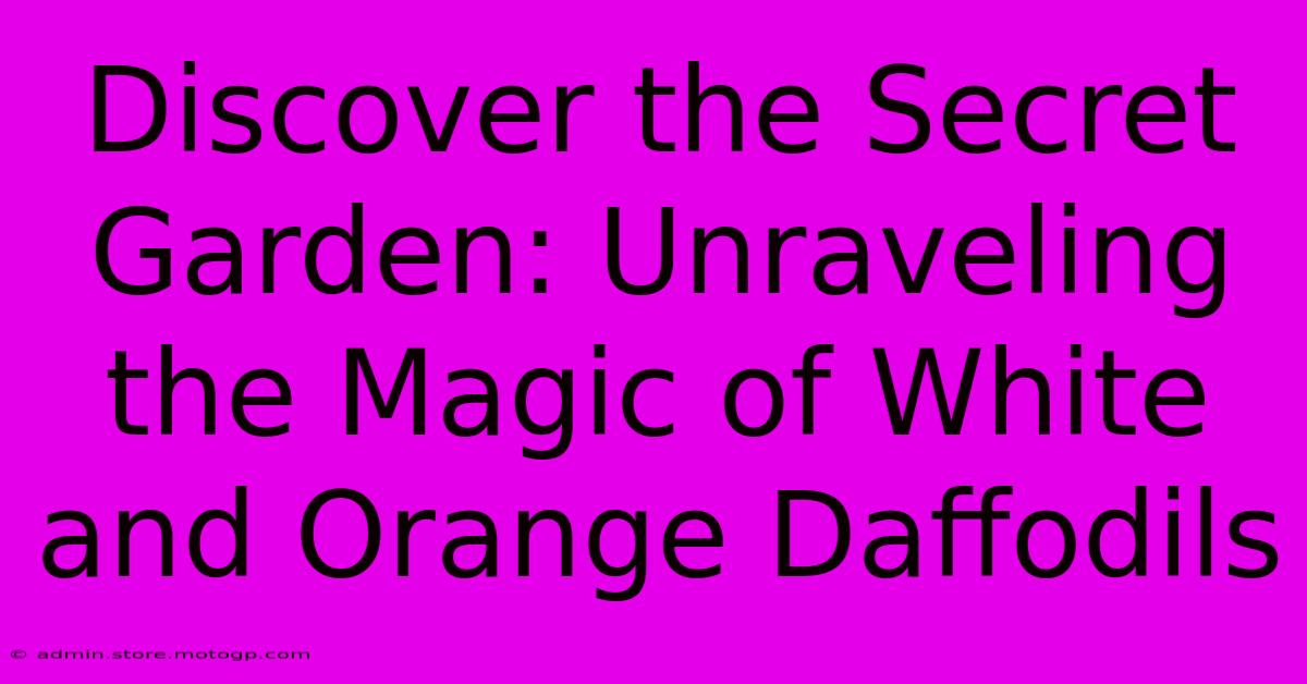 Discover The Secret Garden: Unraveling The Magic Of White And Orange Daffodils