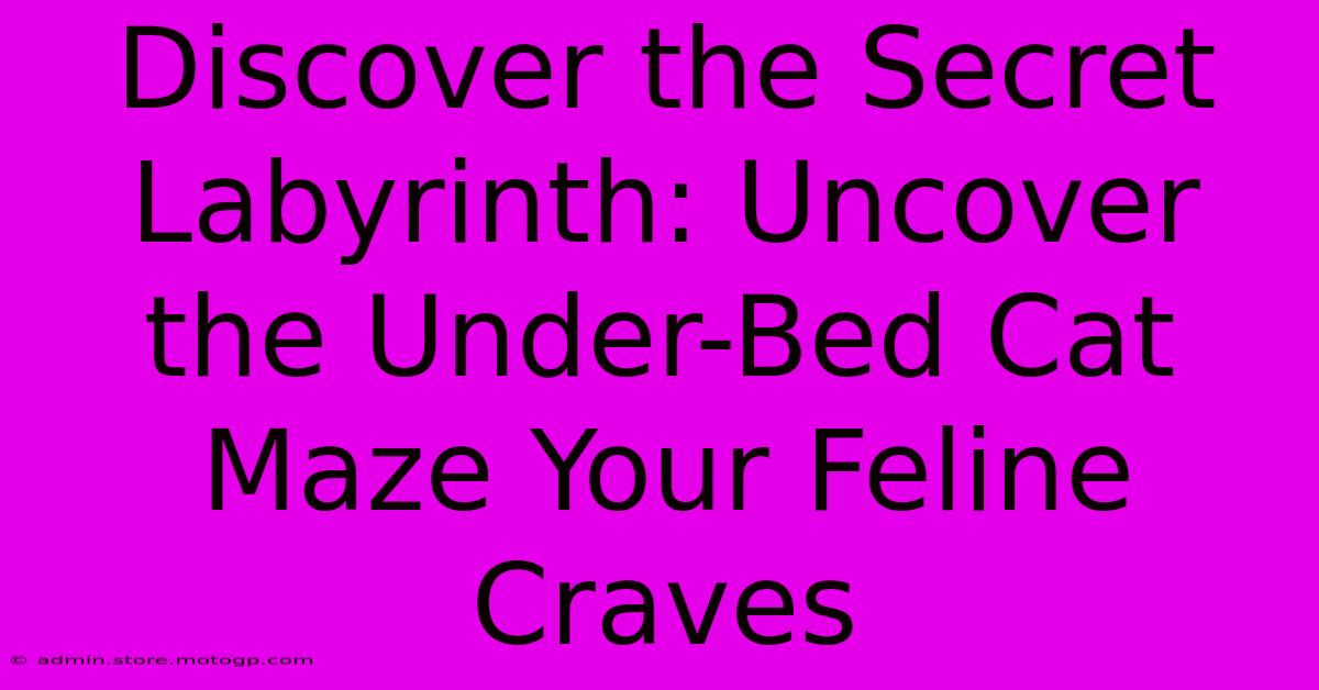 Discover The Secret Labyrinth: Uncover The Under-Bed Cat Maze Your Feline Craves