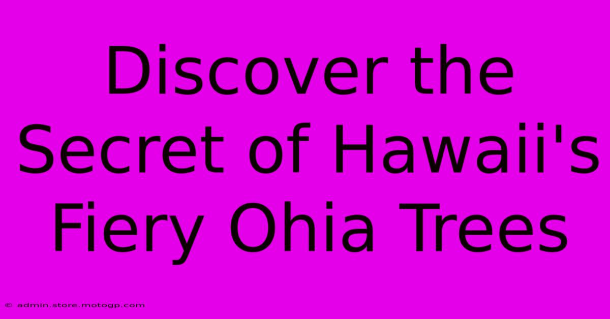 Discover The Secret Of Hawaii's Fiery Ohia Trees