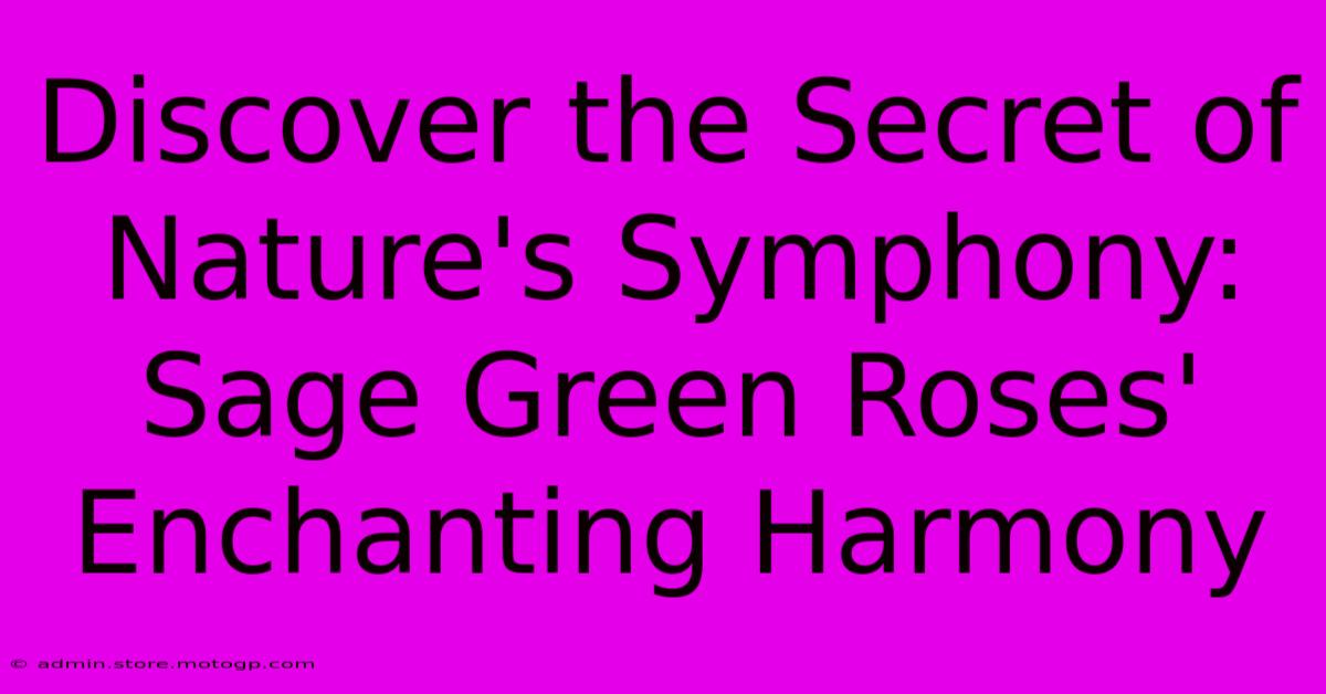 Discover The Secret Of Nature's Symphony: Sage Green Roses' Enchanting Harmony