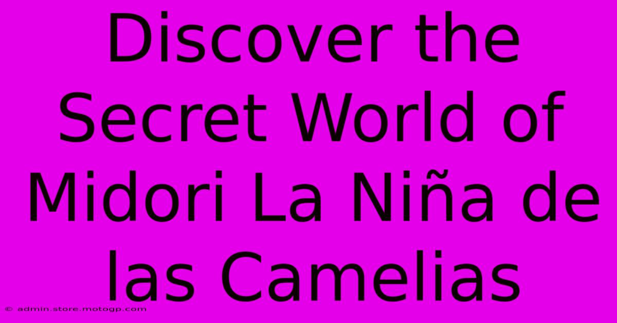 Discover The Secret World Of Midori La Niña De Las Camelias