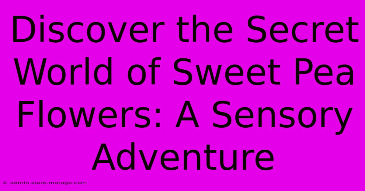 Discover The Secret World Of Sweet Pea Flowers: A Sensory Adventure