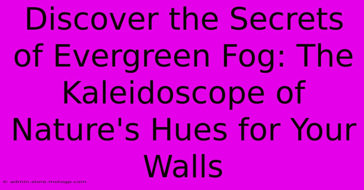 Discover The Secrets Of Evergreen Fog: The Kaleidoscope Of Nature's Hues For Your Walls