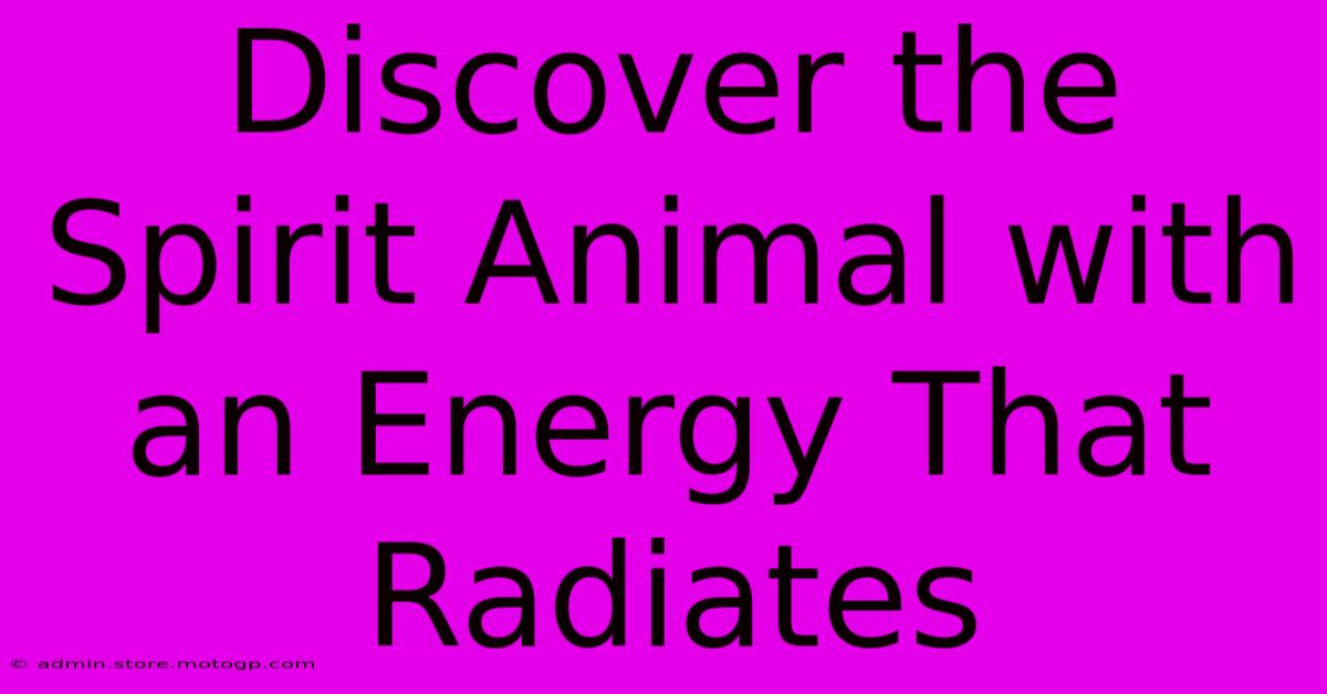 Discover The Spirit Animal With An Energy That Radiates