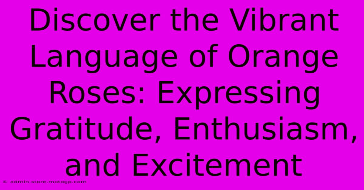 Discover The Vibrant Language Of Orange Roses: Expressing Gratitude, Enthusiasm, And Excitement