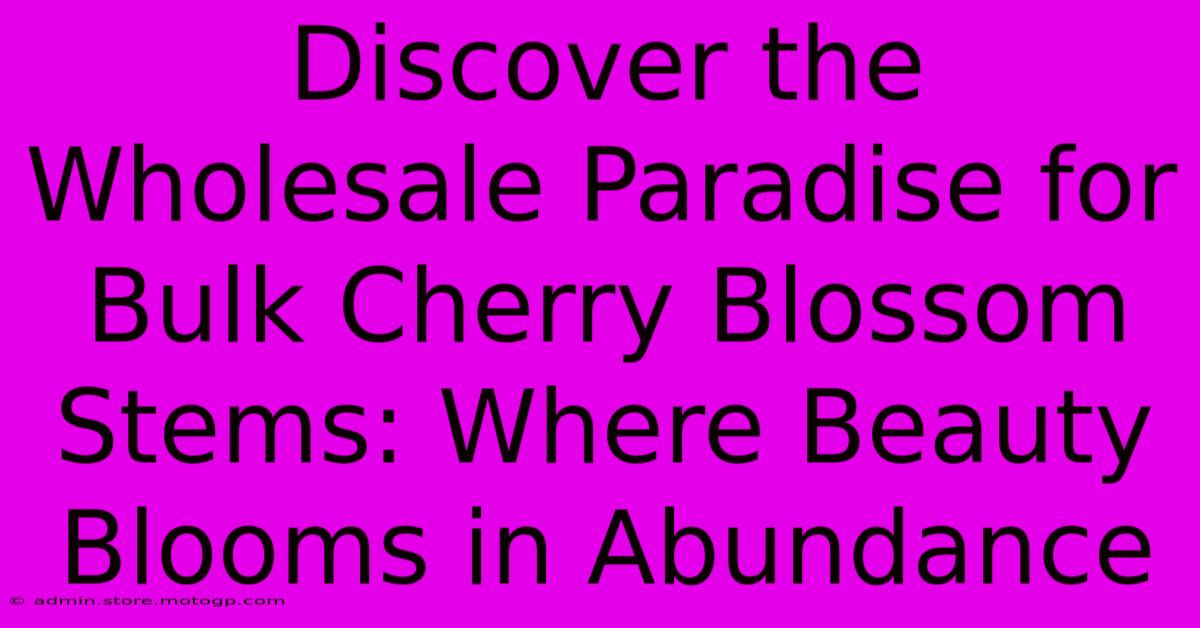 Discover The Wholesale Paradise For Bulk Cherry Blossom Stems: Where Beauty Blooms In Abundance