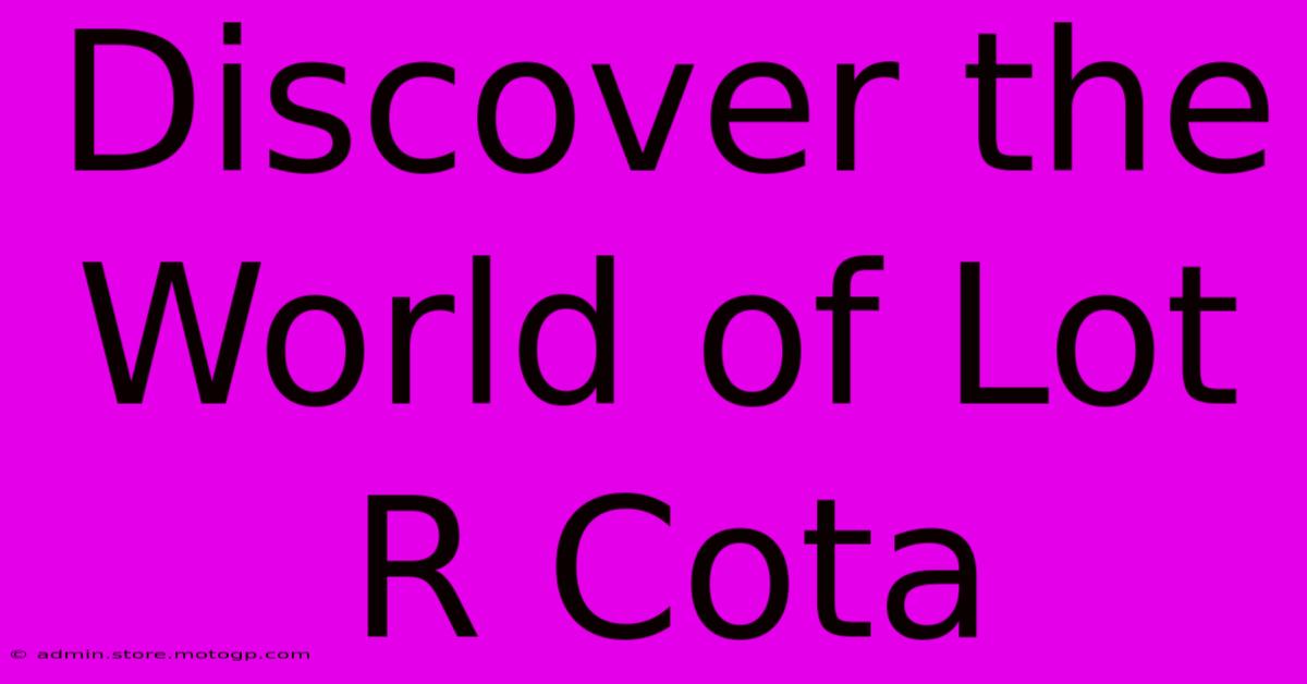 Discover The World Of Lot R Cota