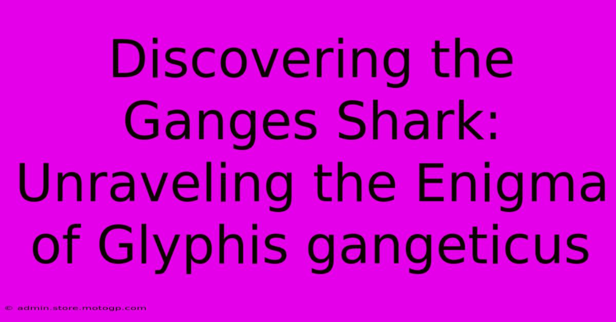 Discovering The Ganges Shark: Unraveling The Enigma Of Glyphis Gangeticus