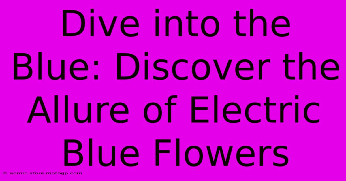 Dive Into The Blue: Discover The Allure Of Electric Blue Flowers