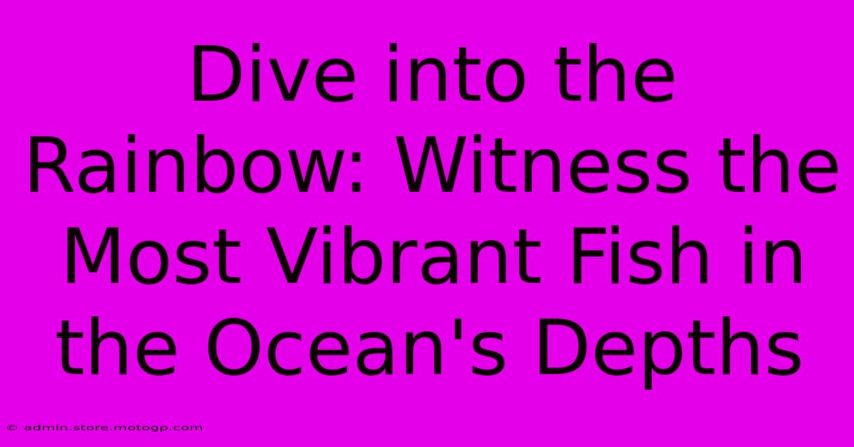 Dive Into The Rainbow: Witness The Most Vibrant Fish In The Ocean's Depths