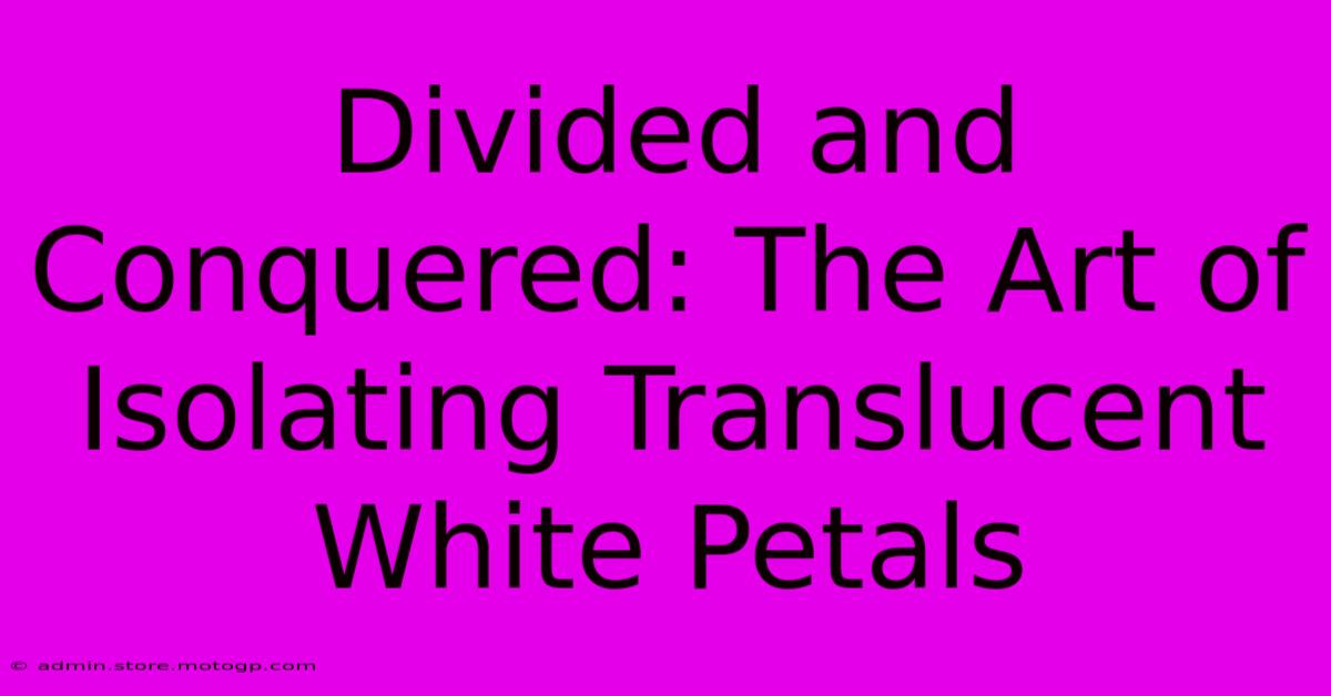 Divided And Conquered: The Art Of Isolating Translucent White Petals